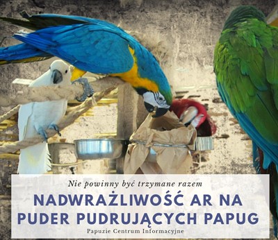 nadwrazliwosc na puder