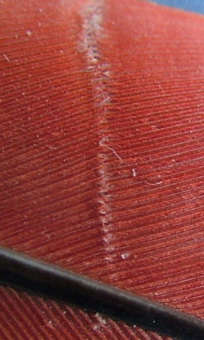 pioro