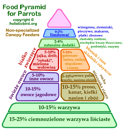pir