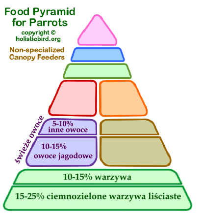 piramida