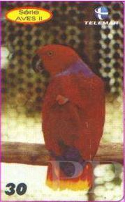 Eclectus roratus (barwnica)