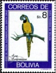 Ara ararauna (ara ararauna), 1981