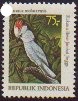 Cacatua moluccensis (kakadu molucka), 1981