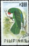 Tanygnathus sumatranus (papuga zielona), 1984