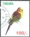 Melopsittacus undulatus (papuka falista), 1998