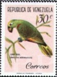 Amazona ochrocephala (amazonka togowa), 1961