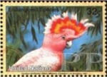 Cacatua leadbeateri (kakadu ognistoczuba), 1997