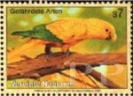 Guarouba guarouba (konura zota), 1995