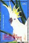 Cacatua galerita (kakadu toczuba), 2000