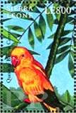 Guarouba guarouba (konura zota), 2000