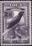 Tonga, 1897