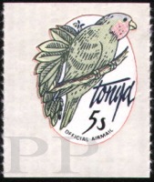 Vini australis (loreczka modroczapkowa), 1979
