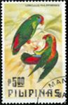 Loriculus philippensis (zwisogwka czerwonoczelna), 1984