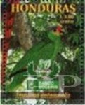 Amazona autumnalis (amazonka zmienna), 1999