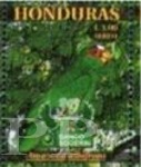 Honduras, 1999