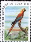 Ara tricolor (ara trjbarwna), 1961