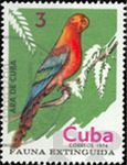 Ara tricolor (ara trjbarwna), 1974