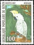 Cacatua galerita (kakadu toczuba), 1982