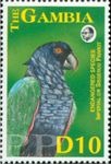 Amazona imperialis (amazonka cesarska), 1993