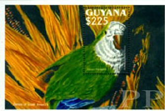 Gujana, 1993