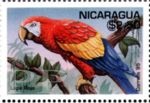 Nikaragua, 1995