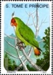 Agapornis pullarius (nierozczka czerwonolica), 1993