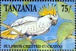 Cacatua galerita (kakadu toczuba), 1991