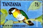 Tanzania, 1991