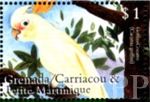 Cacatua goffini (kakadu biaooka), 2000