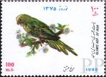 Melopsittacus undulatus (papuka falista), 1996