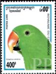 Eclectus roratus (barwnica), 1995