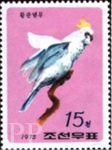 Cacatua galerita (kakadu toczuba), 1975