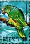 Amazona ochrocephala (amazonka togowa), 1995