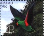 Eclectus roratus (barwnica), 1996