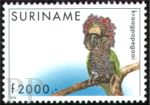 Deroptyus accipitrinus (kapturnica), 1996