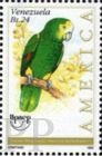 Amazona barbadensis (amazonka wenezuelska), 1993