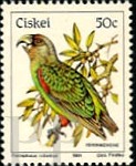 Ciskei, 1981