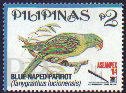 Tanygnathus lucionensis (papuga modroczapkowa), 1994