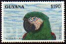 Gujana, 1993