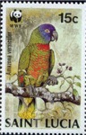 Amazona versicolor (amazonka modrogowa), 1987