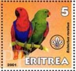 Eclectus roratus (barwnica), 2001