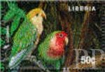 Agapornis roseicollis (nierozczka czerwonoczelna), 1997