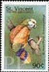 Amazona guildingii (amazonka krlewska), 1998