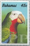 Amazona leucocephala (amazonka kubaska), 1990