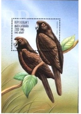 Madagaskar, 1998