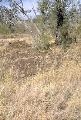 habitat