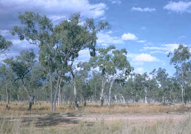 habitat