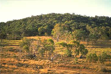 habitat