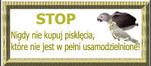 stop
